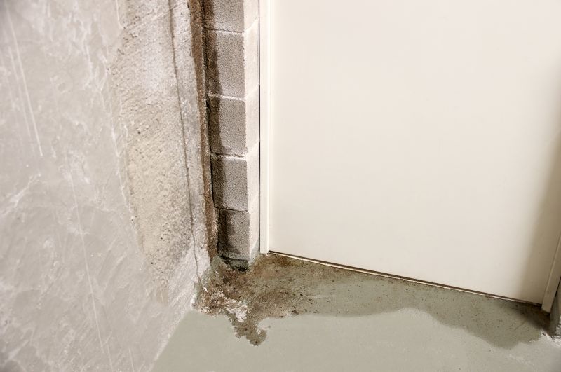 Basement Leak Repair in Sarasota, FL